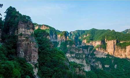金宝塔花卉怎么养