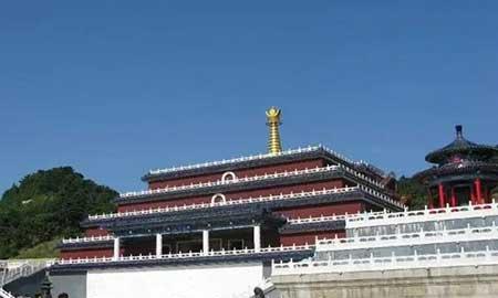 金宝塔花卉怎么养