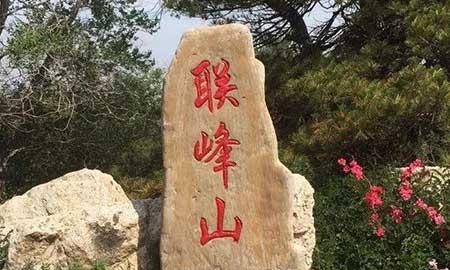 金宝塔花卉怎么养