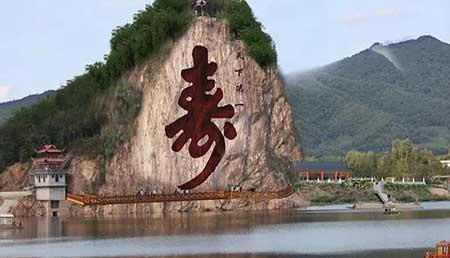 金宝塔花卉怎么养