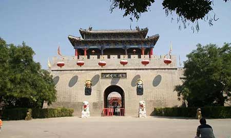 金宝塔花卉怎么养