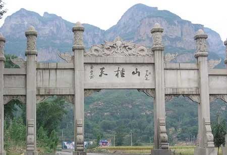 金宝塔花卉怎么养