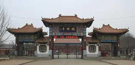 金宝塔花卉怎么养