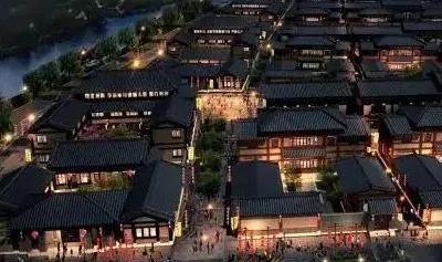 金宝塔花卉怎么养