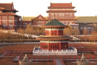 金宝塔花卉怎么养