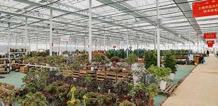 花卉招商