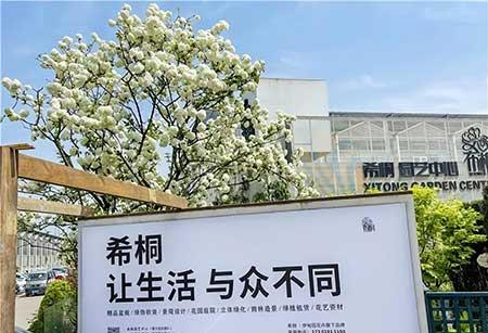 花卉批发租摆