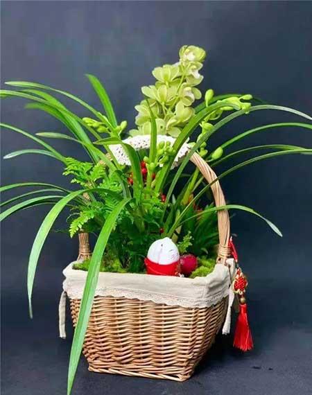 花卉批发租摆