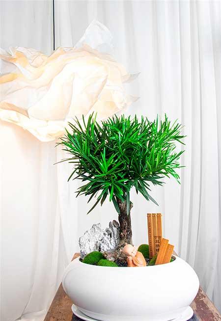 花卉批发租摆