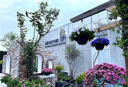 花卉批发租摆