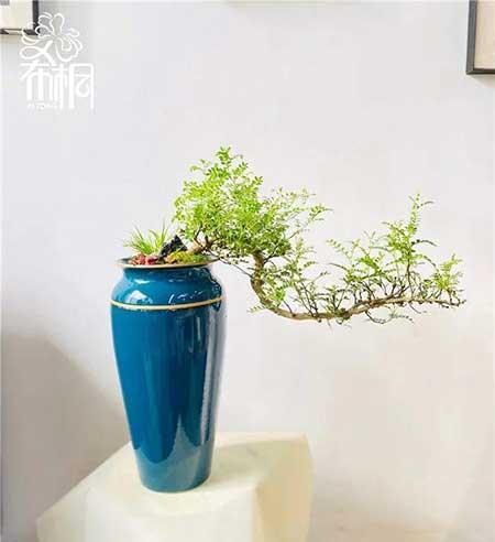花卉批发租摆