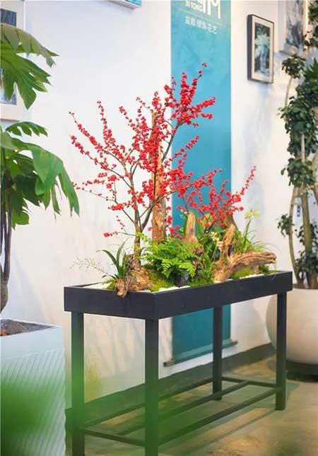 花卉批发租摆