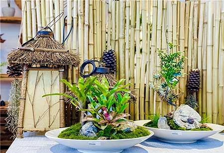 花卉批发租摆