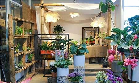 花卉批发租摆