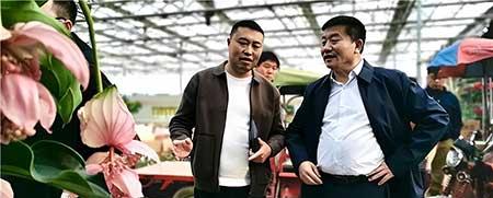 花卉批发租摆