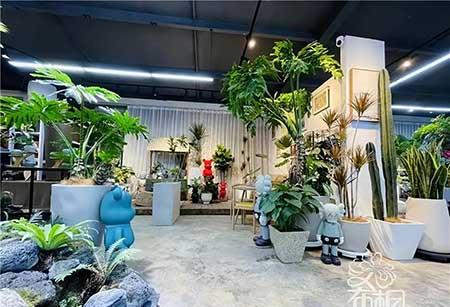 花卉批发租摆