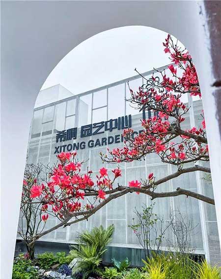 花卉批发租摆