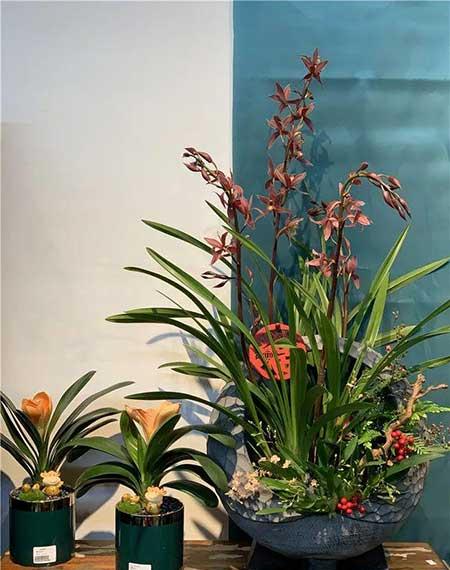 花卉批发租摆
