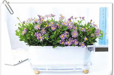 国光园林养护用品