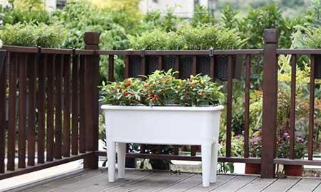 国光园林养护用品