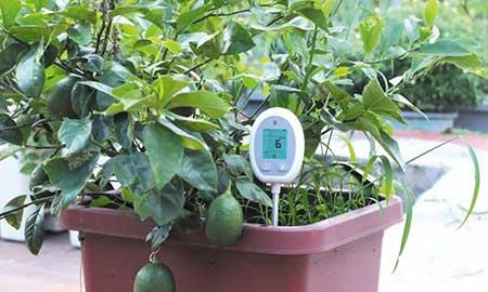 国光园林养护用品