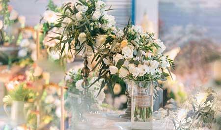 断根的花怎么养