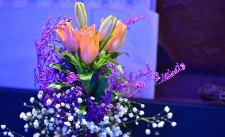 断根的花怎么养