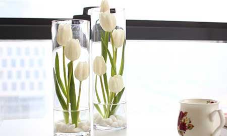 断根的花怎么养