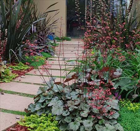 冬季养的花卉有哪些