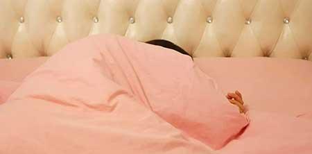 床头养什么植物好