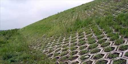 边坡绿化养护