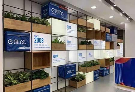 办公室适合养的绿植不喜光