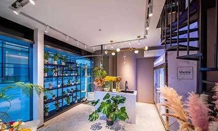 办公室适合养的绿植不喜光