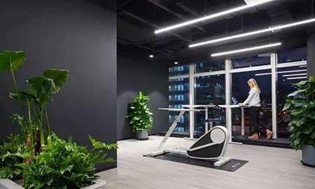 办公室适合养的绿植不喜光