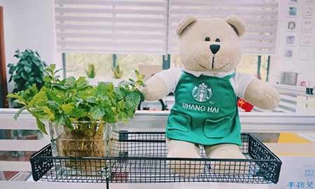 办公室适合养的绿植不喜光