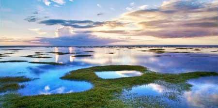 租赁花卉服务合同