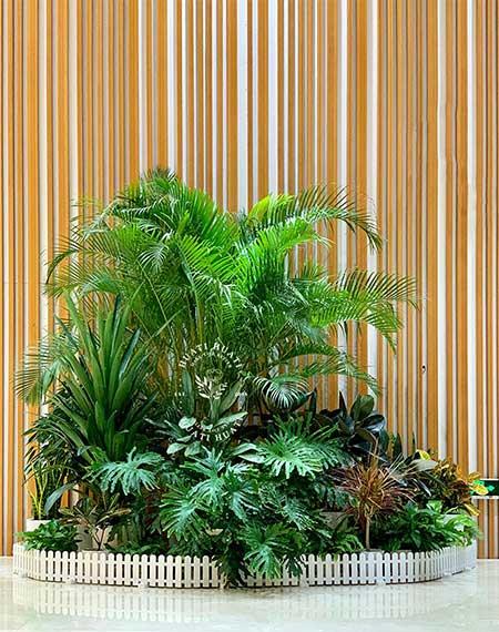 植物租赁怎么收费