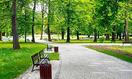 园林绿化养护精细化管理