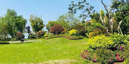 园林绿化养护管理月历