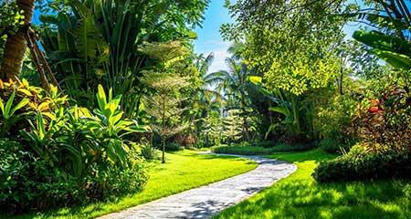 园林绿化养护报价范本