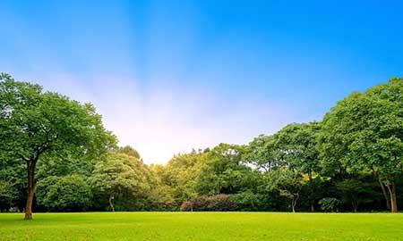 园林绿化养护报价范本