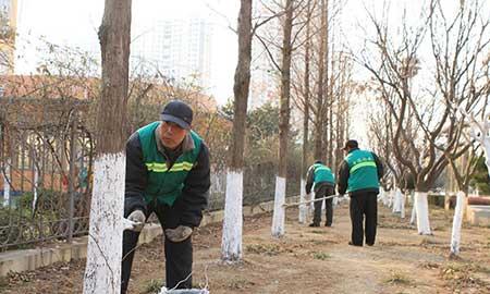 园林绿地养护