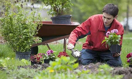 喜欢养绿植的男人