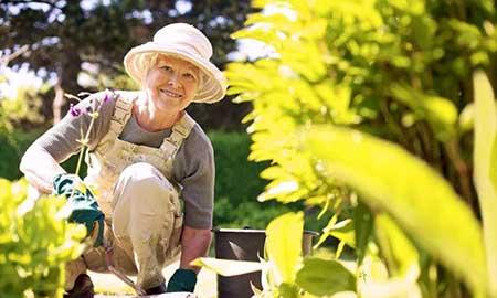 喜欢养绿植的男人