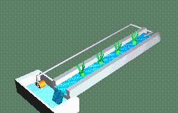 无土绿植怎么养