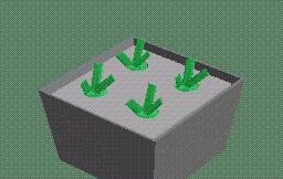 无土绿植怎么养