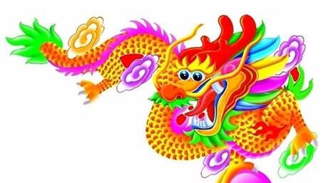 属龙人养什么花旺财