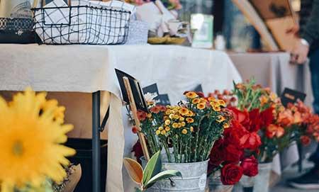 属虎的养什么花旺财