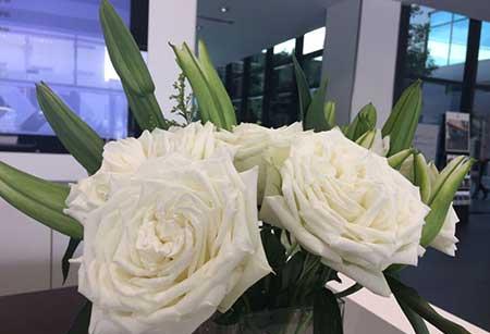 收到的鲜花如何保养