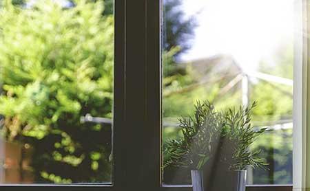 室内盆栽的养护方法